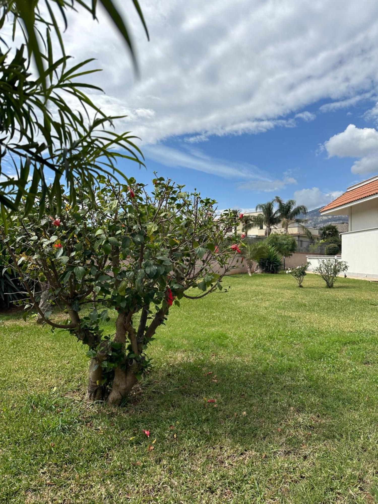 Villa Sara Mondello Garden Level 巴勒莫 外观 照片